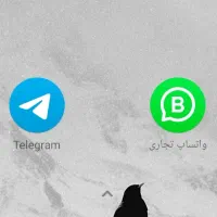 شماره مجازی