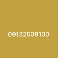 09132508100