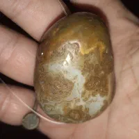 مهره قدیمی گله ای بزرگ