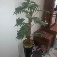 گل مصنوعی خارجی