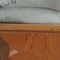برنج فجر،