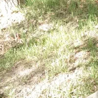 زمین ساختمانی