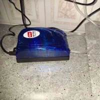 اکواریم با ماهی|ماهی|اصفهان, عمان سامانی|دیوار