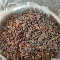 مویز بش دشمن.زیاری