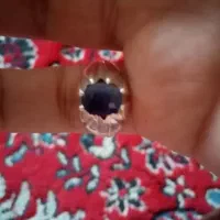 انگشترنقره دستسازفیروزه نیشابور ویاقوت کبود|جواهرات|شیراز, دباغ خانه|دیوار