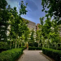 ۲ خوابه بلوک ۵