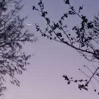 آموزش
