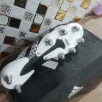 کفش استوک دار اورجینال
