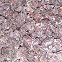 کشمش ومویز خرمامخصوص آبگیری بهمراه چرخ کردن رایگان|خوردنی و آشامیدنی|کرمانشاه, |دیوار