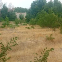 زمین-باغی-درجزین