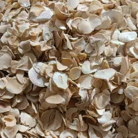 موسیر شیرین شده کوهی