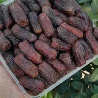خرمای پیاروم درجه یک حاجی آبادبندر برداشت آبان 405