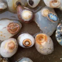 سنگ بابا قوری طبیعی مناسب چشم زخم