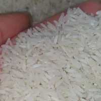 برنج طارم هاشمی فریدونکنار|خوردنی و آشامیدنی|هشتگرد, فاز ۷ مهستان|دیوار