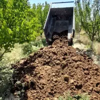 کودگاوی نیسانی  ۱۶۰۰ پر‌میکنم‌