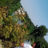 زمین اجاره ای بزرگ