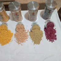 پخش انواحبوبات و مواد غذایی ( عمده و خرده )|خوردنی و آشامیدنی|تهران, صد دستگاه|دیوار