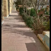 نیروی نطافتی