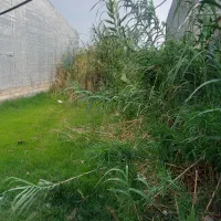 فروش-فوری-زمین-120-متری-شهرک-اسدی