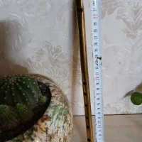 برنجی برنزی مجسمه ظروف دکوری کلکسیون برنز|حراج|تهران, افسریه جنوبی|دیوار