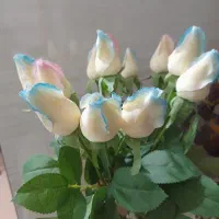 گل رز|گل مصنوعی|سریش آباد, |دیوار