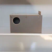 لونه بزرگه جفت عروس هلندی نونو