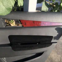 ۴عدد رودری دنا