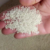 برنج‌هاشمی