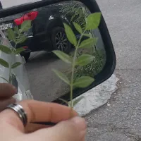 وام ۳۰۰ میلیون بدون سود