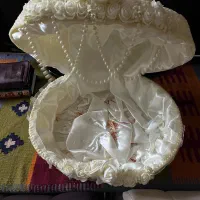 صدف عروس