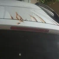 کوییک ۱۴۰۲|خودرو کلاسیک|کوه چنار, |دیوار