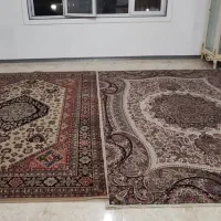 فرش|فرش|بندر انزلی, سامانسر|دیوار