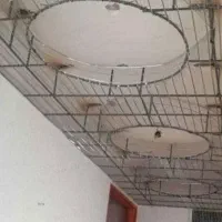 رابیتسبا گچکاری و اجرای کناف|خدمات پیشه و مهارت|رفسنجان, |دیوار