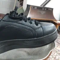 کفش نو چرم|کیف، کفش، کمربند|نیشابور, مازول|دیوار