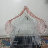 قفس عروس قناری