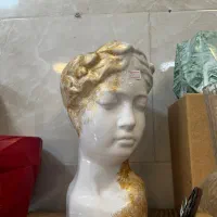 گلدان چهره|گل و گیاه طبیعی|رشت, پیرکلاچای|دیوار