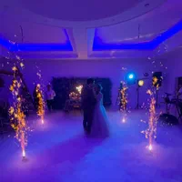 خانه عقد باغ تولد مهمونی بله برون|خدمات پذیرایی، مراسم|تهران, خلیج فارس|دیوار