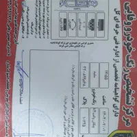 وانت پیکان استثنائی|خودرو سواری و وانت|کاخک, |دیوار