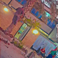 بریدن نخل قطع نخل حرس نخل سمپاشی در آوردن ریش نخل|خدمات باغبانی و درختکاری|اهواز, نادری|دیوار