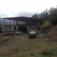 مرغداری نیمه کاره با جواز و زمین سند تکبرگ|فروش دفتر صنعتی، کشاورزی، تجاری|پل سفید, |دیوار