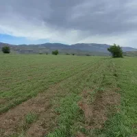 یک قطعه زمین زاراعی|فروش دفتر صنعتی، کشاورزی، تجاری|دیلمان, |دیوار