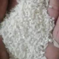 نیمدانه هاشمی