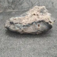 شجر کبود بزرگ