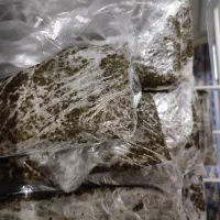 سبزی خورشتی بدون کود و ارگانیک|خوردنی و آشامیدنی|قم, ولیعصر|دیوار