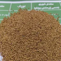 دانه طلایه سبز|خدمات باغبانی و درختکاری|تهران, فاطمی|دیوار