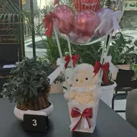 بادکنک ببو