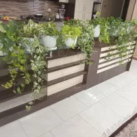 گل اپارتمانی|گل و گیاه طبیعی|مشهد, امیریه|دیوار