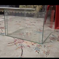 اکواریوم نو