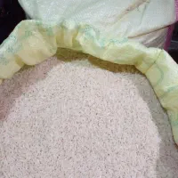 برنج راتون ورزاکی کشت دوم کاملا ارگانیک