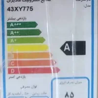 تلویزیون ایکس ویژن ۴۳ اینچ|تلویزیون و پروژکتور|رشت, خواهر امام|دیوار